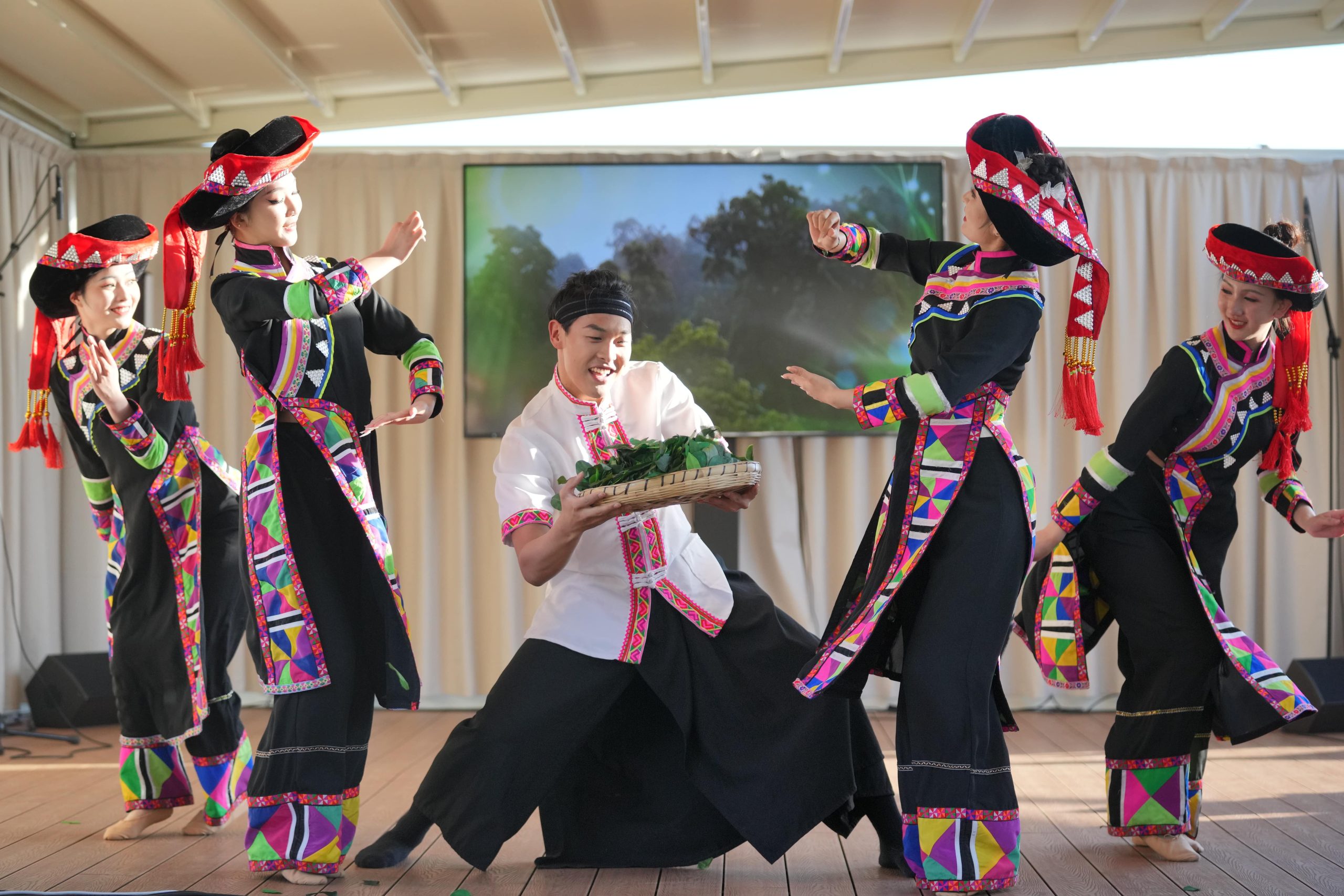 La cultura del tè dello Yunnan incanta Roma